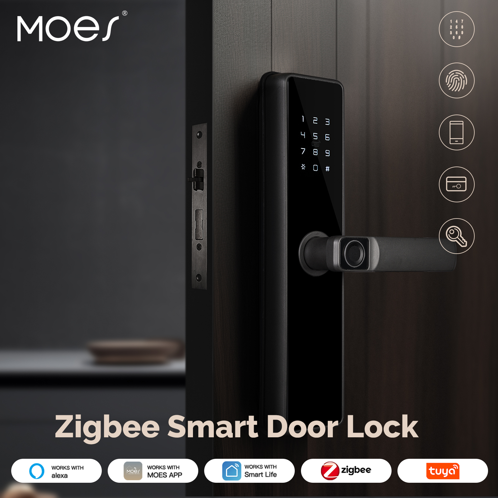 Home Security Tapo - MOES Tuya ZigBee Smart Door Lock