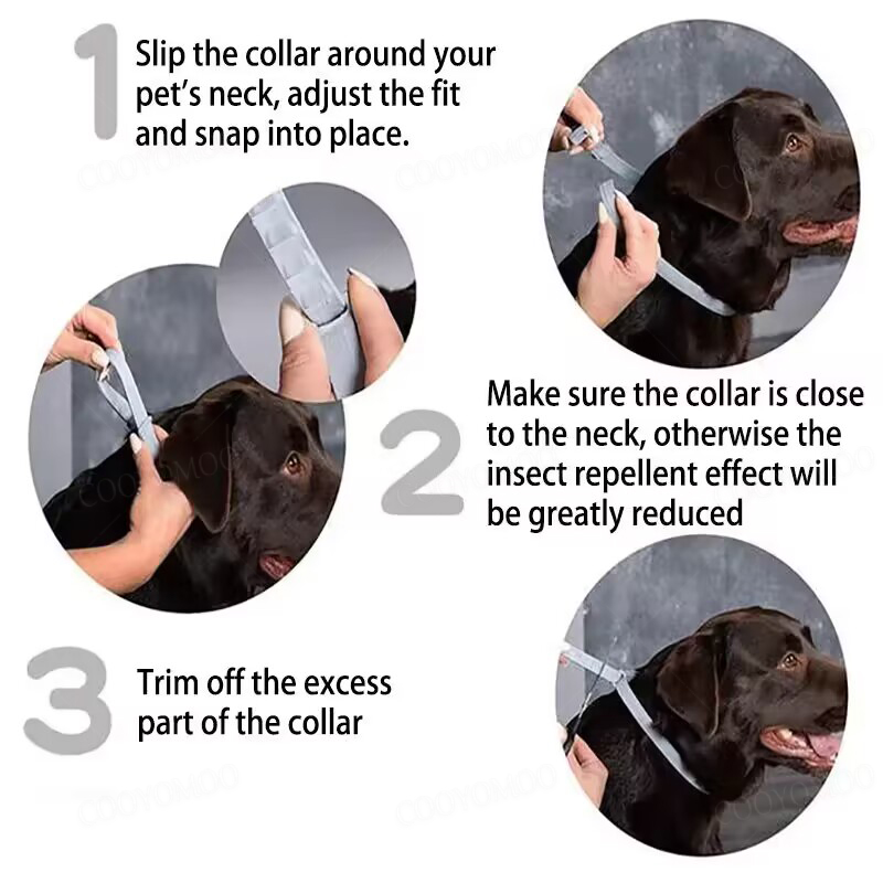 Dog Anti Flea And Tick Collars - Pet Immune Pir Sensor บทวิจารณ์และราคา