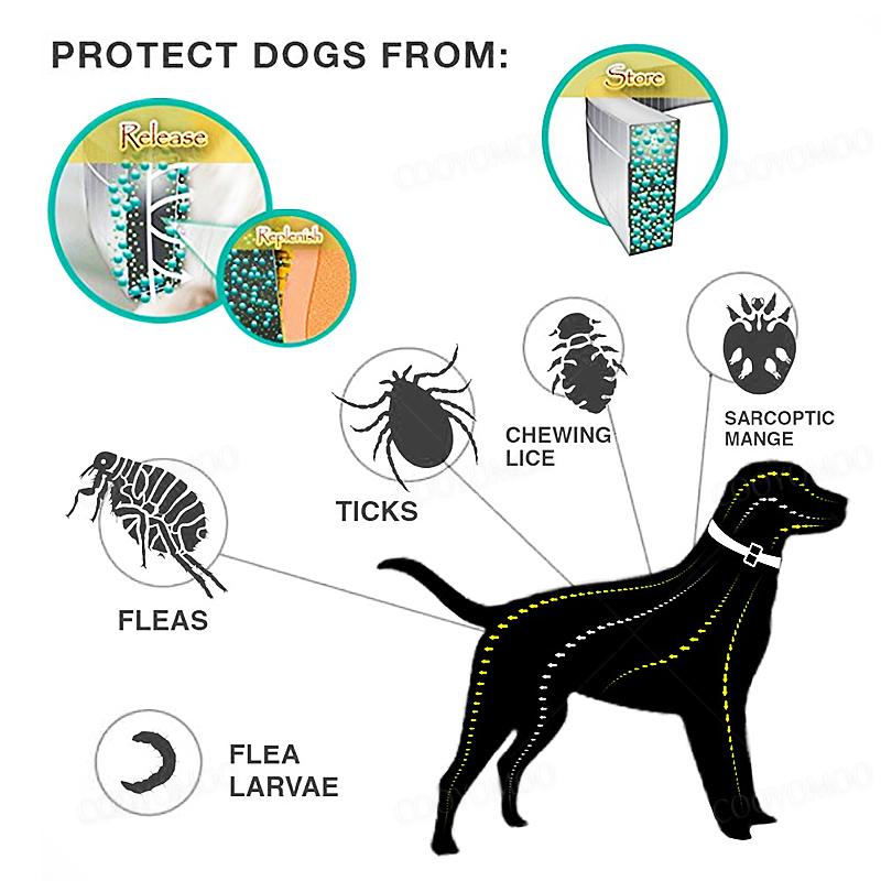 Dog Anti Flea And Tick Collars - Pet Immune Pir Sensor บทวิจารณ์และราคา