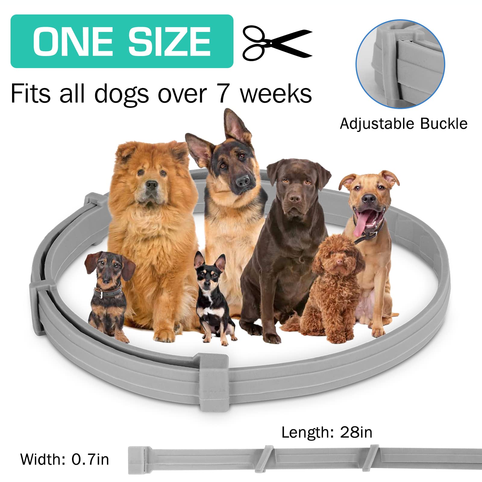 38/70CM Pet Anti Flea Ticks An - Pet Immune Pir Sensor บทวิจารณ์และราคา