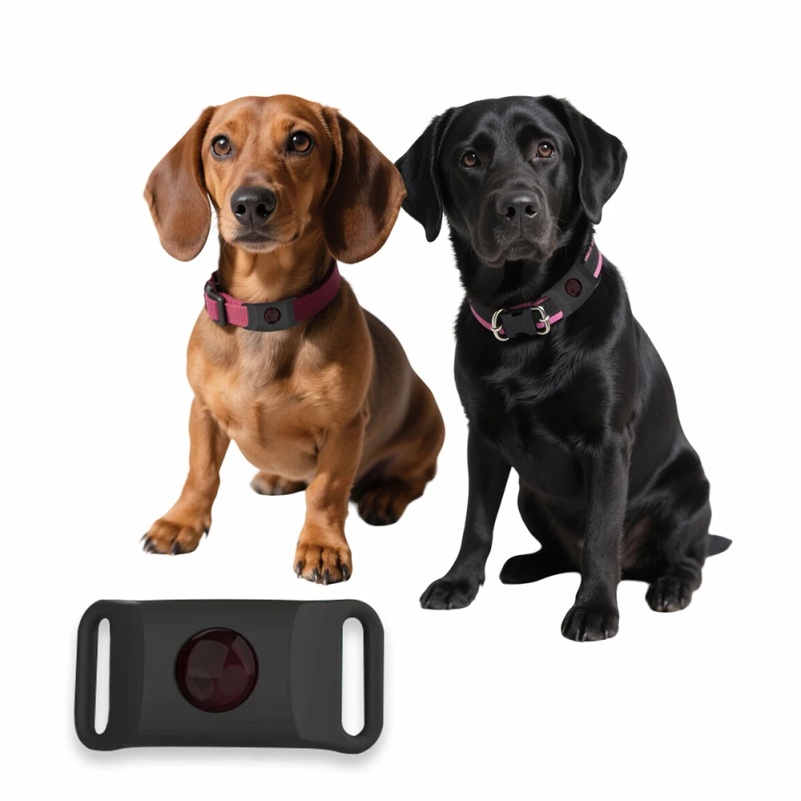 Natural Anti-Flea & Tick Penda - Pet Immune Pir Sensor บทวิจารณ์และราคา