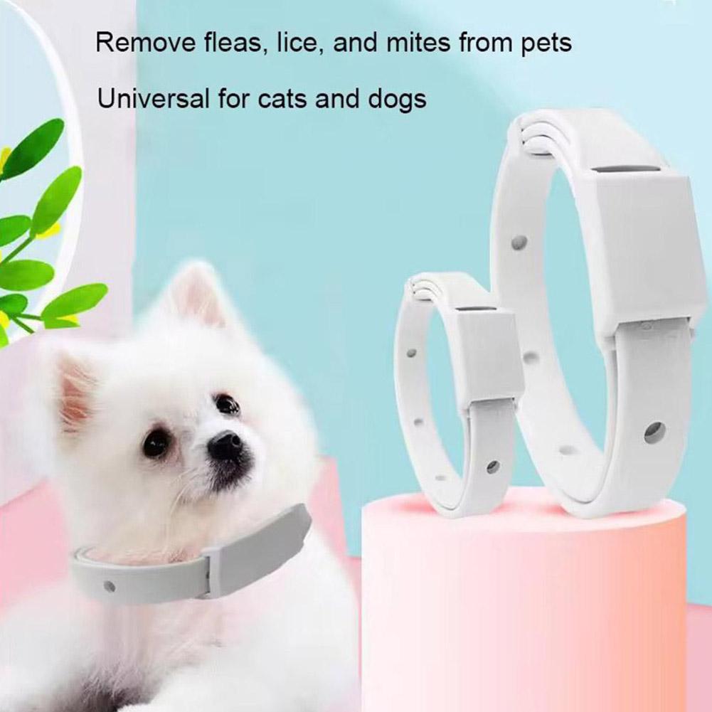 Retractable Pet Products Flea  - Pet Immune Pir Sensor บทวิจารณ์และราคา