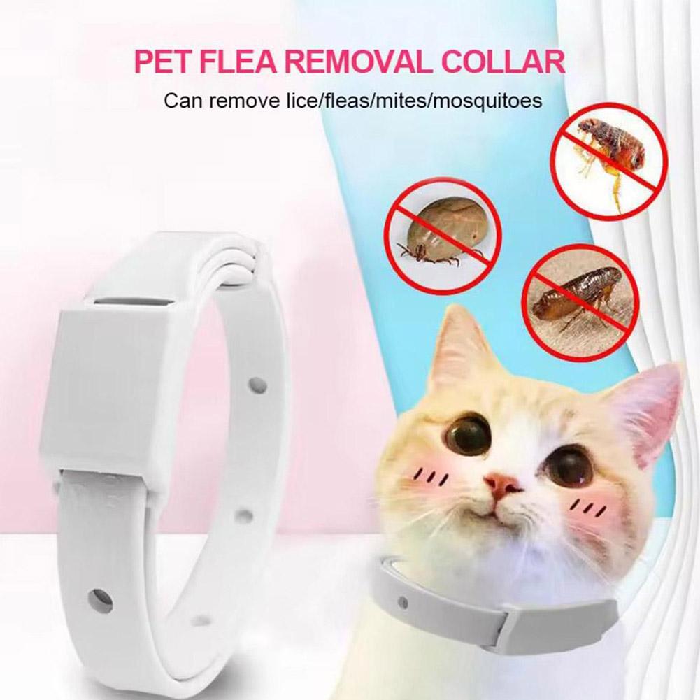 Retractable Pet Products Flea  - Pet Immune Pir Sensor บทวิจารณ์และราคา