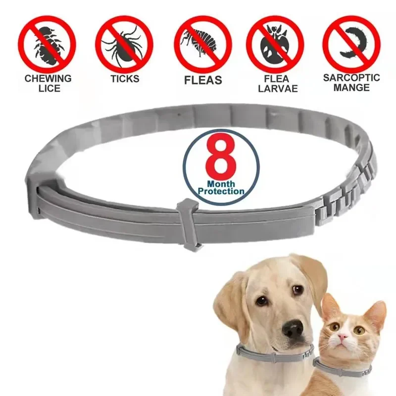 Dog Anti Flea And Tick Cat Col - Pet Immune Pir Sensor บทวิจารณ์และราคา