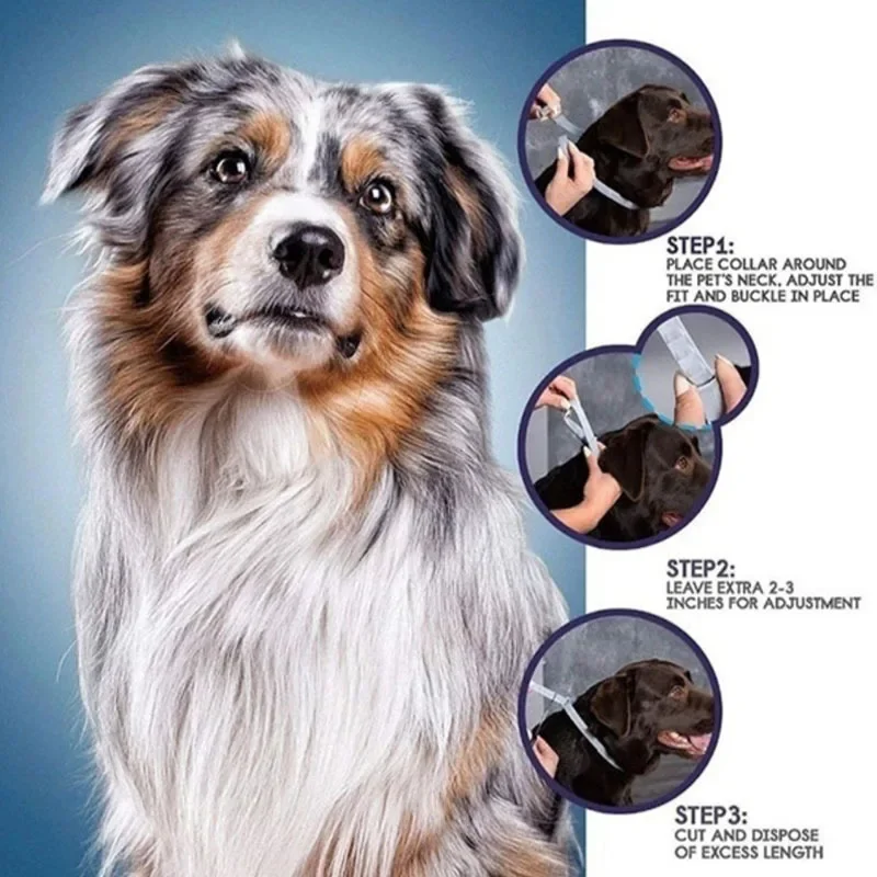 Dog Anti Flea And Tick Cat Col - Pet Immune Pir Sensor บทวิจารณ์และราคา