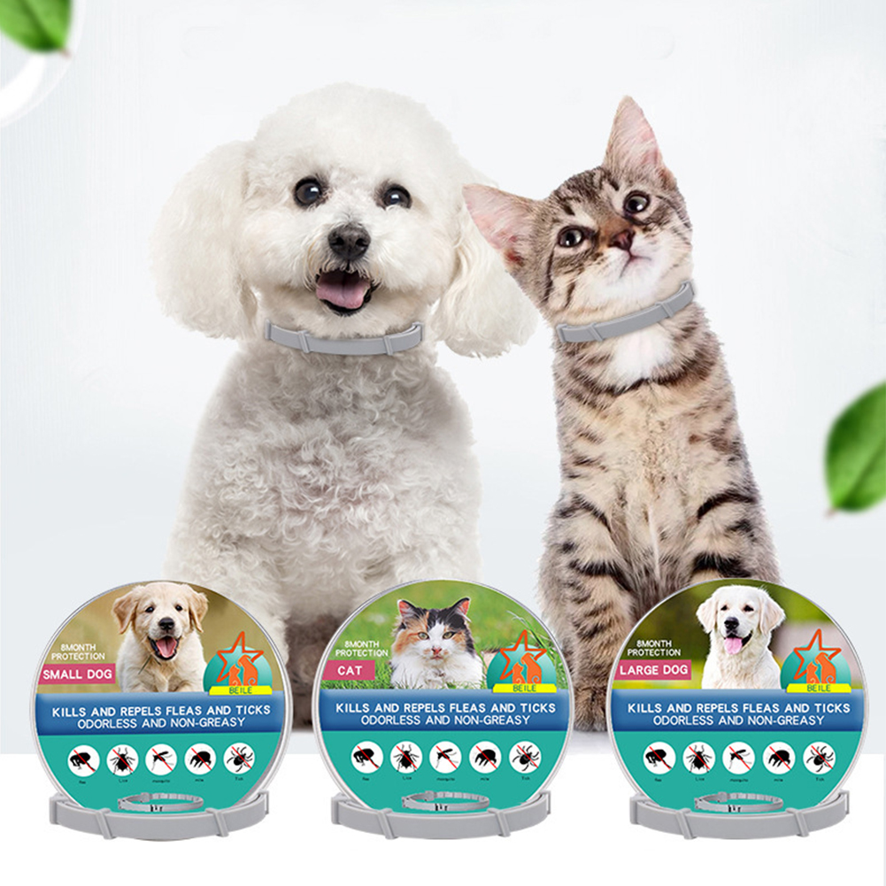 Flea Collar 8 Months Protectio - Pet Immune Pir Sensor บทวิจารณ์และราคา